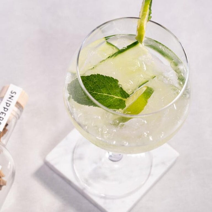 MoodCompanyNL - Maak je eigen Gin 700 ml - Cadeautip - Snippers - 8720938867071