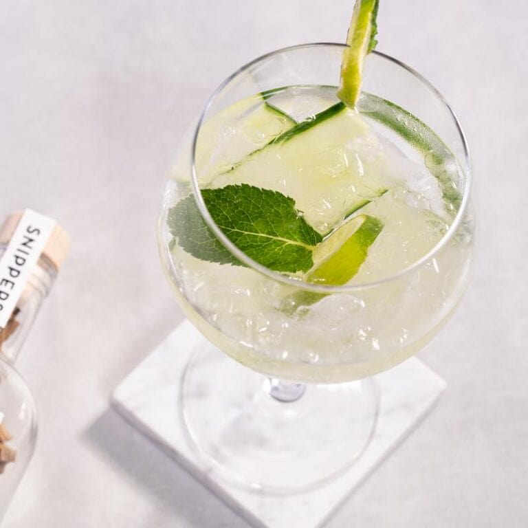 MoodCompanyNL - Maak je eigen Gin 700 ml - Cadeautip - Snippers - 8720938867071