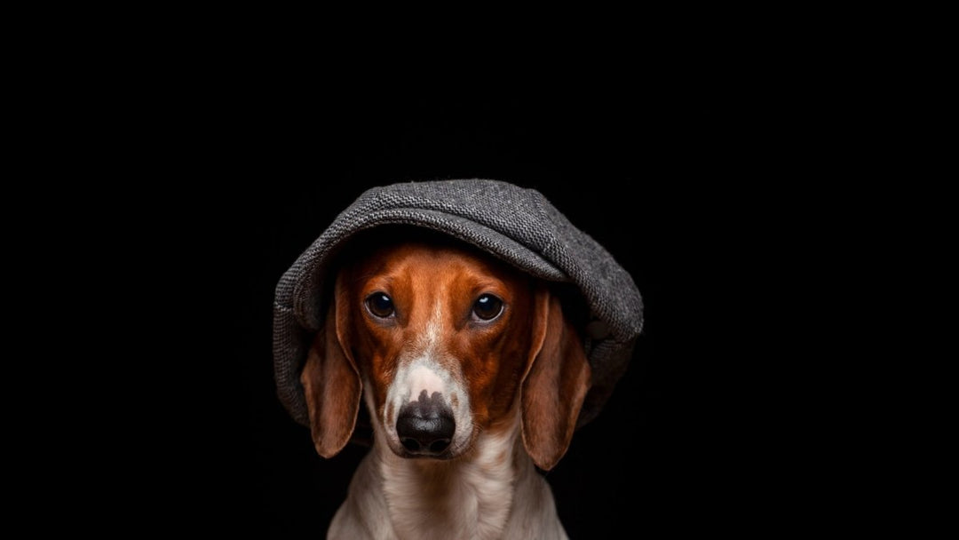 Harris Tweed Hoeden, Petten en Caps - MoodCompanyNL