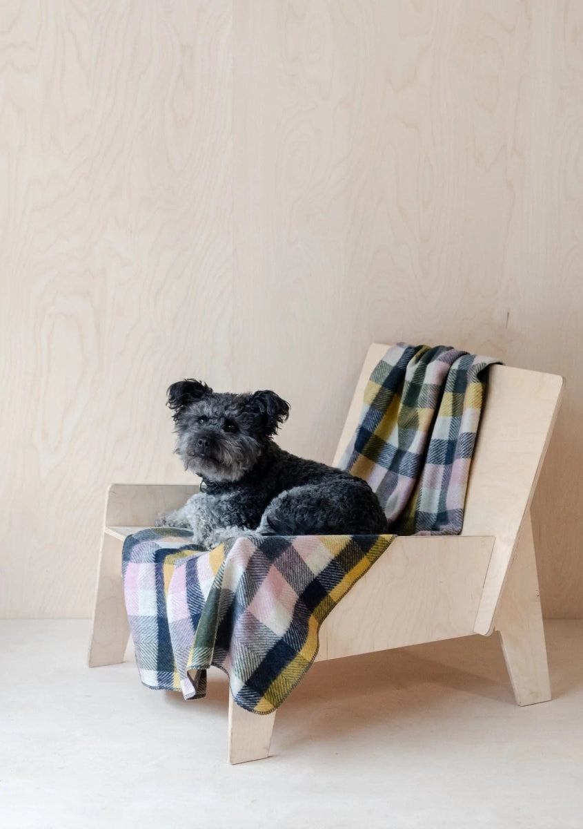 MoodCompanyNL - Hondendeken Geruit Willow - Wol - Geurbestendig - Hypoallergeen - 150x90 - TBCo Scotland - 5055603572084