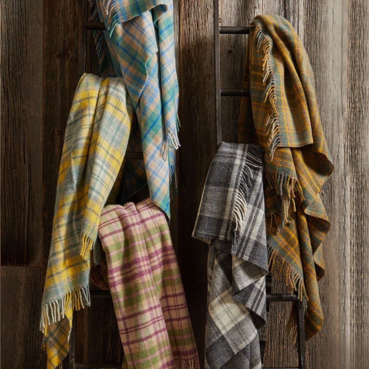 MoodCompanyNL - Plaid Tartan Cottage Blauw 150x183 - Nieuw Wol - Tweedmill UK - 5060958301531